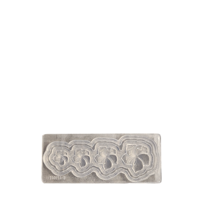 PNC Nail Art Mold